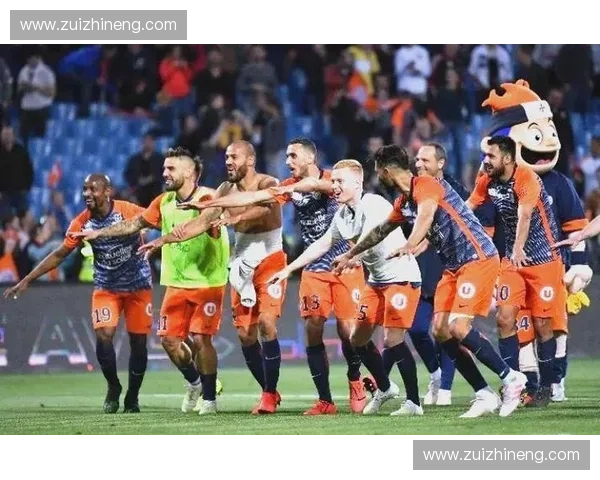 深入解析德国足球联赛级别体系的发展演变与竞技结构特点